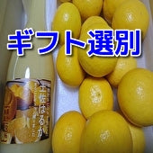 【ギフトセット】これから旬！の『小夏と土佐はるか生しぼりストレート果汁100％のセット　』【フルーツ】《送料込み一部地域を除く》