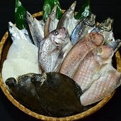 無添加・天日干し【愛媛八幡浜産】ピチピチ朝獲れ鮮魚の一品】夜干し13枚セット