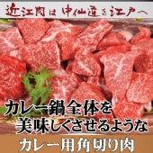 【近江牛の牝牛専門店】カレー用角切り肉　500g　(カタ・モモ・バラなど)　