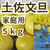 【山崎文旦園】土佐文旦 家庭用（5kg）