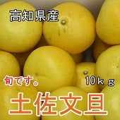 【送料込み】宿毛産　吉村さんの大きな土佐文旦１０㎏(３Lサイズ）