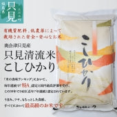 【奥会津只見産】只見清流米コシヒカリ（20kg）