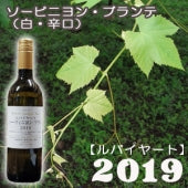 2019  ルバイヤートソーヴィニヨン・ブラン  750ml