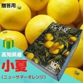 みかん　【上物・贈答ギフト】高知産「小夏・ニューサマーオレンジ」 　 L～2L（5㎏）まっこと旨い！ 南国の太陽を浴びて育った甘くて新鮮な柑橘