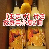 なんと糖度15.4度の甘さ！【土佐はるか：生搾りストレート果汁100％無添加720ml（2本入り）】【送料込み一部地域を除く】【送料無料】