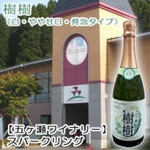 【五ヶ瀬ワイナリー】樹樹(白・やや甘口・スパークリング)・750ml