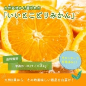 【お試し】九州３県「いいとこ取り」みかん３ｋｇ【期間限定1】【送料無料】【お歳暮2023】【11月から順次発送】【フルーツ】