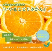 九州３県「いいとこ取り」みかん６ｋｇ【11月から順次発送】【期間限定販売】【送料無料】【お歳暮2023】【フルーツ】