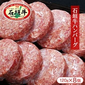 【沖縄県石垣島より直送】石垣牛ハンバーグ（120g×8個）【精肉・肉加工品】