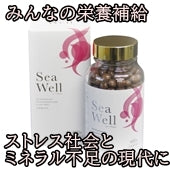 【3本セット】栄養補助食品 サプリメント 牡蠣肉エキス シーウェル (Sea Well) 480粒(4か月分) 栄養食品 かき抽出エキス