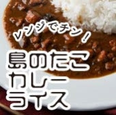 【送料無料】島のたこカレーライス～天然真だこ使用～3袋セット