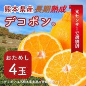 熊本県産長期熟成ひだまりデコポンご家庭用4玉【お試し】