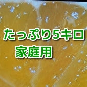 【化学肥料不使用】果汁たっぷり【土佐小夏】（たっぷり5キロ：28～44個入り）【家庭用選別のお徳用】《送料込一部地域を除く》