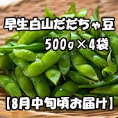 鶴岡市特産 富樫農園 早生白山だだちゃ豆 500g×4袋  【8月中旬頃お届け】