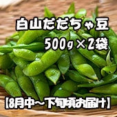 鶴岡市特産 富樫農園 白山だだちゃ豆 500g×2袋  【8月中旬～下旬頃お届け】