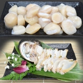 【道産・送料無料】お刺身 ほたて貝柱500g ＆ あわび2個入 セット（ホタテ：3S前後・20～45玉前後・250ｇ×2パック　アワビ：2個(約70g×2））　お刺身 帆立 ホタテ あわび アワビ 鮑 刺身 北海道 道産 利尻礼文産 数量限定・無添加