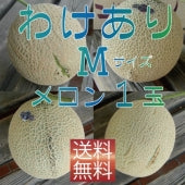 ＜家庭用※訳あり品カード入り＞クラウンメロン　Mサイズ1玉　【送料無料】