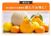 ３回果物頒布会（初回注文から１年間に３回）1回当たり4,980円！