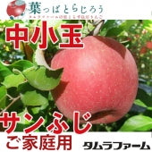 サンふじご家庭用3kg中小玉【りんご】