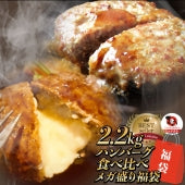 【お試し】福袋 ハンバーグ 食べ比べ 豪華 メガ盛り 2.2kg 2種セット (プレーン100g×12個、チーズイン100g×10個) 惣菜 クリスマス お弁当 業務用