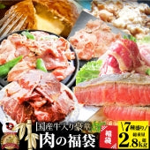 肉 福袋 2023年 国産牛入り 肉の福袋 「竹福袋」牛肉 食品 メガ盛り 総重量2.8kg超 焼くだけ＆レンジで簡単調理！ 人気のお肉豪華セット 送料無料