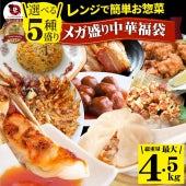 中華 点心 惣菜 クリスマス 《総重量最大4.5kg》 福袋 2種から選べるAセット 餃子 焼売 小籠包 唐揚げ チャーハン 焼飯 肉団子 焼豚 肉 お歳暮 ギフト 2022