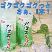 かぼすちゃん 500ml 24本