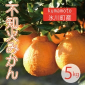 【熊本県産】デコポンと同じ品種5㎏『不知火みかん』(露地物)