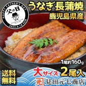 【父の日/化粧箱入】鹿児島県 指宿産 うなぎ蒲焼 真空パック 2枚入 【鮮魚・魚介類】 父の日 ギフト 2024【漬魚・魚加工品】 海鮮問屋 見田元七商店