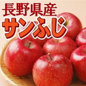 【販売期間外】信州産りんご　サンふじ8㎏【お歳暮2023】【フルーツ】11月中旬から発送