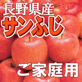 【販売期間外】信州産りんご　サンふじ8㎏【家庭用】（16～24玉）【フルーツ】※11月中旬から発送