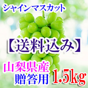 【贈答用・1.5ｋｇ・地域限定送料込み】山梨の旬のシャインマスカット　1.5Kg詰め