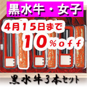 【広告掲載商品】大特価キャンペーン！【4月15日まで１０％ＯＦＦ】開運印鑑（女性用）　黒水牛（実印・銀行印・認印）３本セット