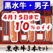 【広告掲載商品】大特価キャンペーン！【4月15日まで１０％ＯＦＦ】開運印鑑（男性用）　黒水牛（実印・銀行印・認印）３本セット