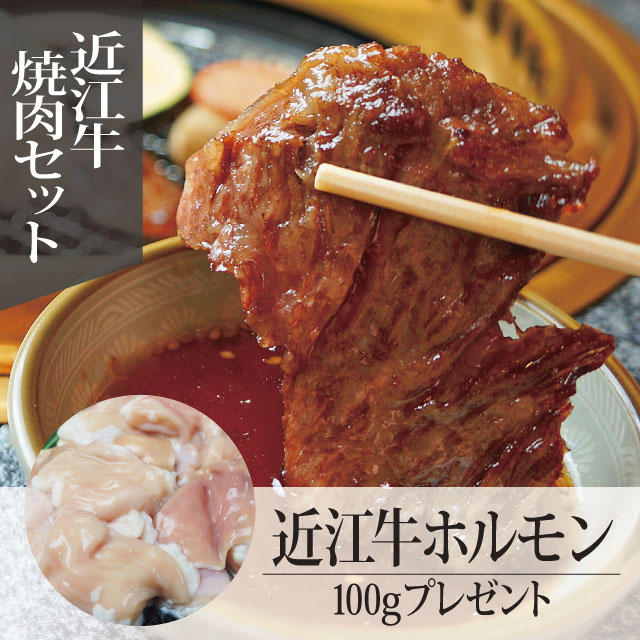 【近江牛ホルモンプレゼント！】 ◎近江牛焼肉◎　（２～３人前）　バラ＆赤身セット　合計４００g　《冷凍便》