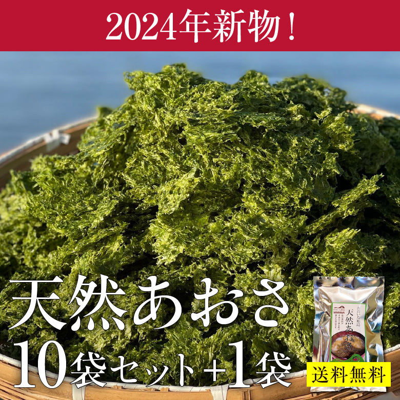 【数量限定&1袋プレゼント】香り豊かな姫島の天然あおさ15g×10袋＋1袋