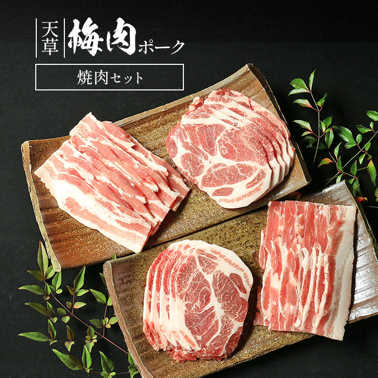 ギフト 贈り物 天草梅肉ポーク 焼肉セット 豚肉 バラ焼肉用 500g(250gx2p) 約5人前 肩ロース焼肉用 500g(250gx2p)