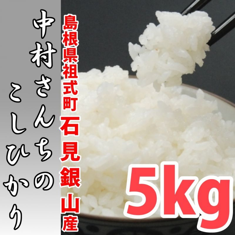 【深みのある味わい米！】中村さんちのコシヒカリ5kg  5年産米【送料込み】