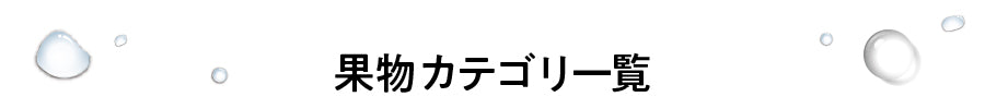 果物カテゴリ一覧