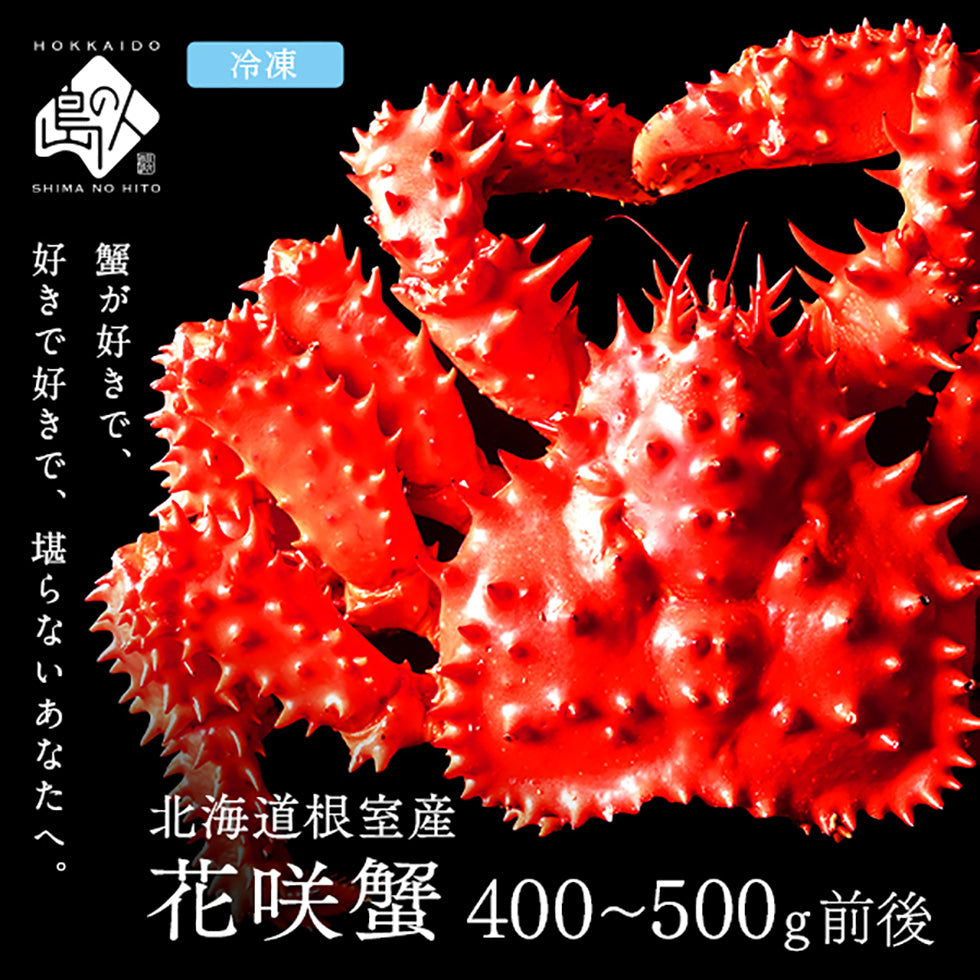北海道 根室産 花咲ガニ(姿) 400～500g 蟹の中でも濃厚な味