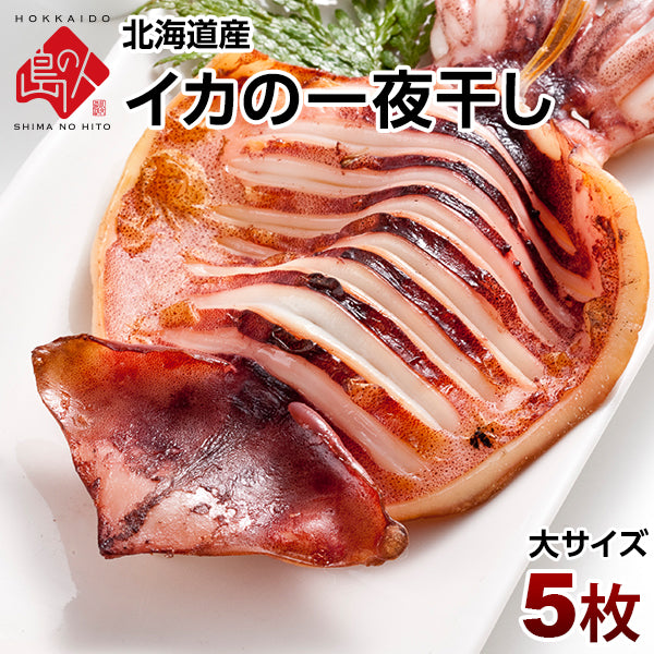 「イカ」の旨みを熟成させる一夜干し加工　イカの一夜干し×5枚（大サイズ）【送料無料】