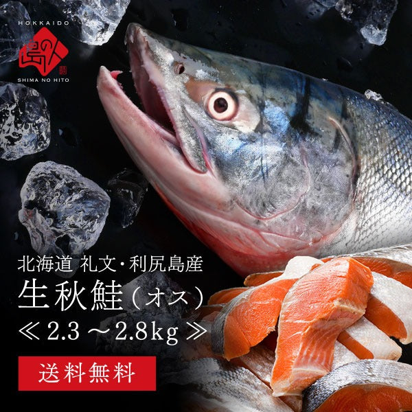 北海道 礼文・利尻島産 生 秋鮭 オス 2.3～2.8kg前後