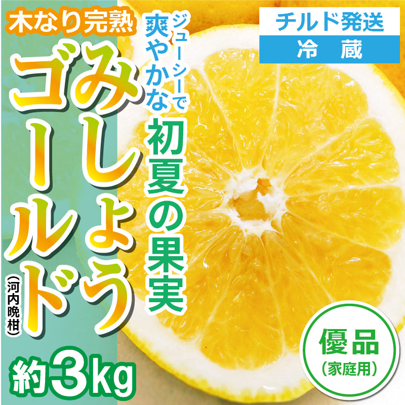 【送料無料】木なり完熟！みしょうゴールド（河内晩柑）〈優品・家庭用〉約３kg　※チルド便発送　※順次発送中