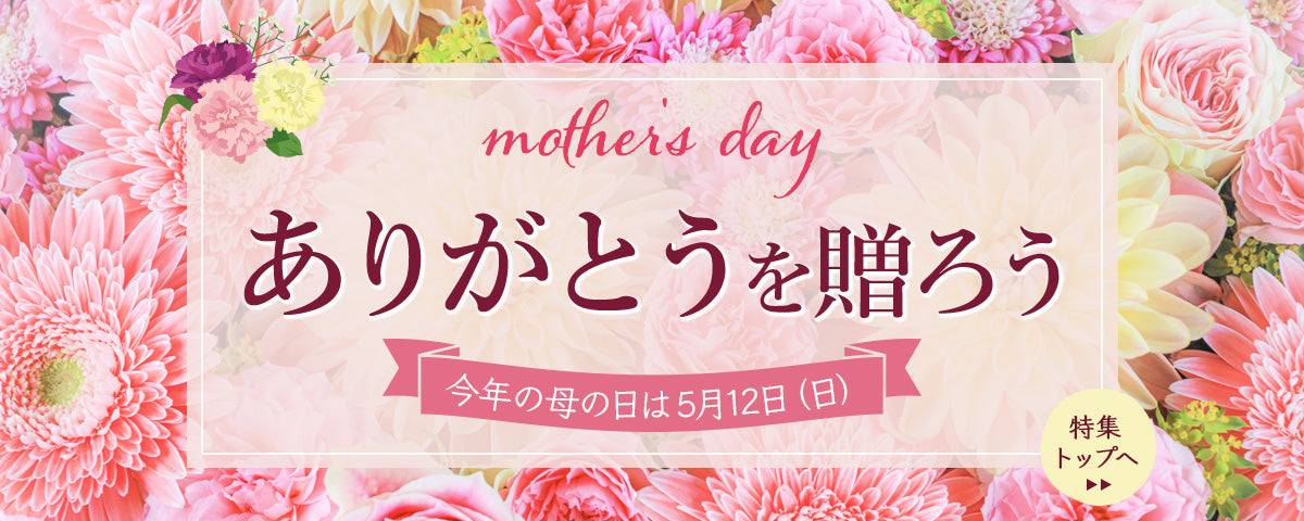 ありがとうを贈ろう　mother's day