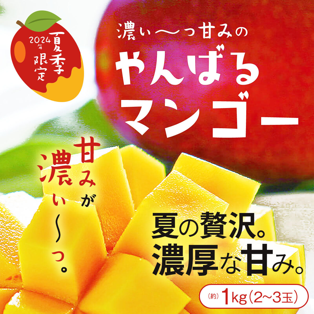 【2024年予約販売開始！】【7月下旬～8月中旬頃発送予定】【沖縄の夏の味覚・やんばる産（送料無料）】沖縄県産マンゴー 約1kg（2～3玉）