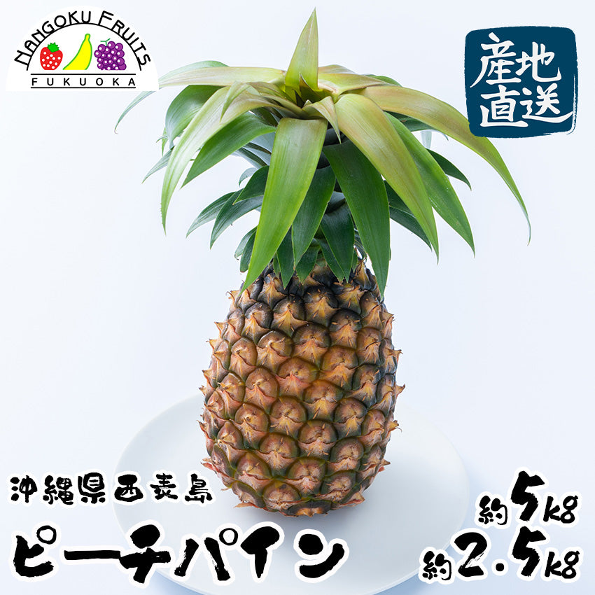 【予約販売】【産地直送】沖縄西表島産 ピーチパイン　【フルーツ】