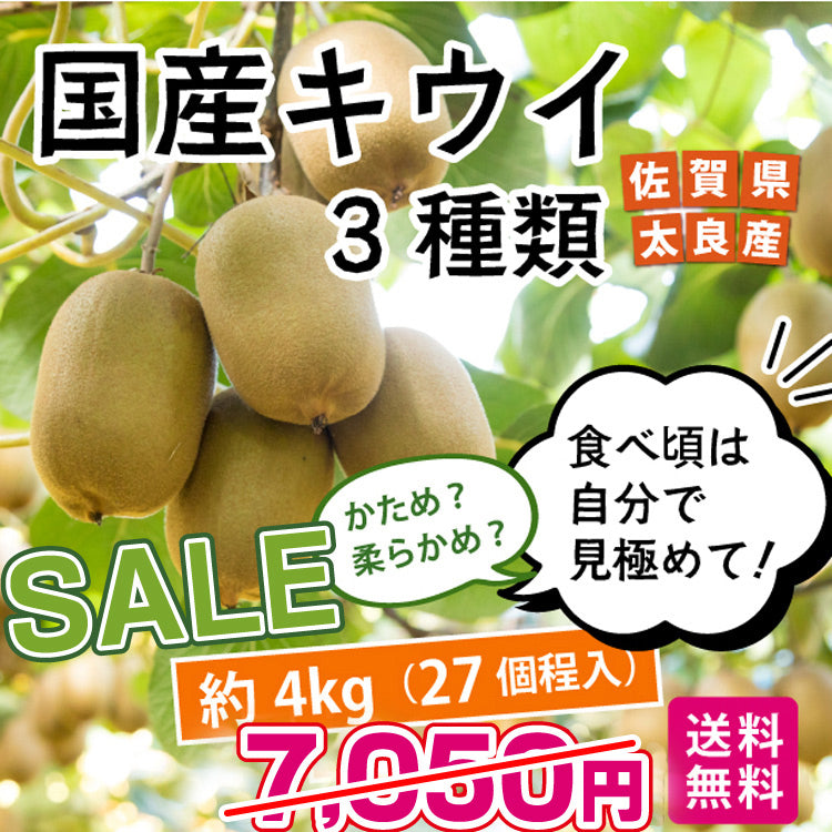 ＜割引中！！＞★国産キウイ 約4kg(27個程)品種：ヘイワード★【佐賀県産】