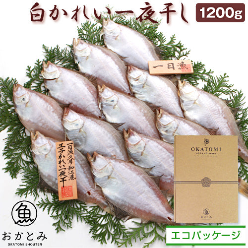 【送料込】島根県沖かれい一夜干し（1200g・10～16枚）　※（北海道、沖縄は送料1320円）