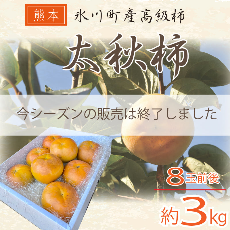 熊本自慢の逸品！秋の味覚『太秋柿』3kg