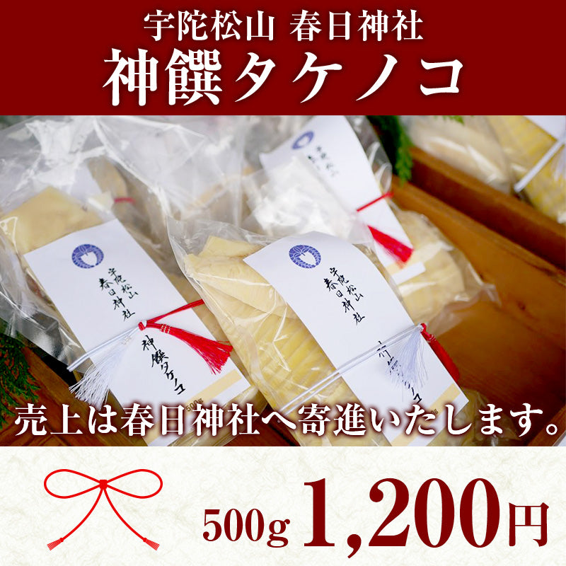 【予約受付】神饌タケノコ 500g　【売上は春日神社に寄進いたします】
